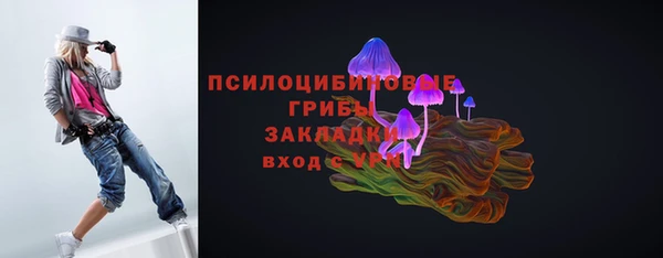 марки nbome Ельня