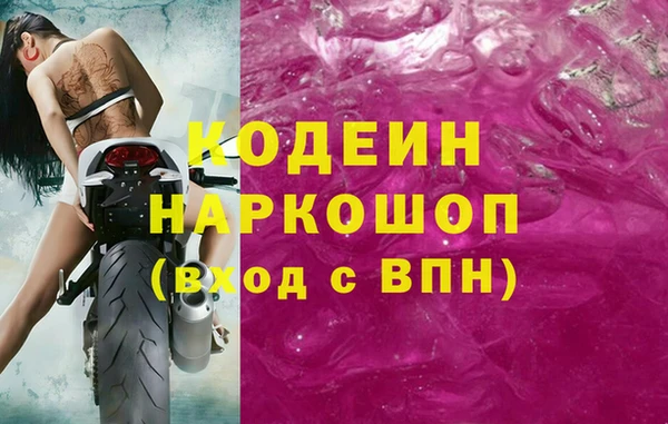 дмт Елизово
