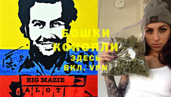 марки nbome Ельня