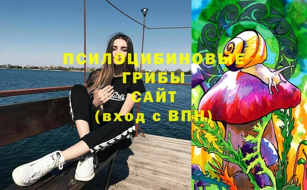 марки nbome Ельня