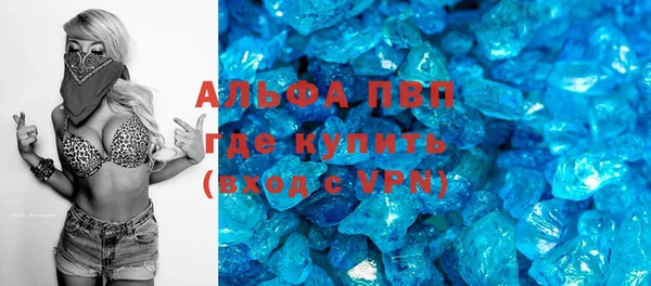 прущие грибы Заводоуковск