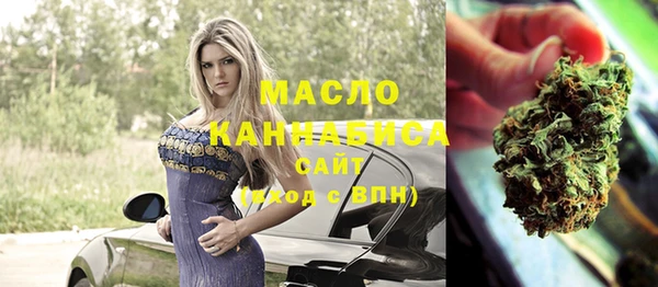 дмт Елизово
