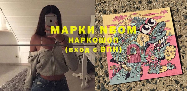 дмт Елизово